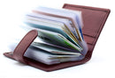 STARHIDE Soft Genuine Leather Compact Credit Debit Card Holder Case with Removable Plastic Sleeves 210